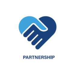 6 partnership